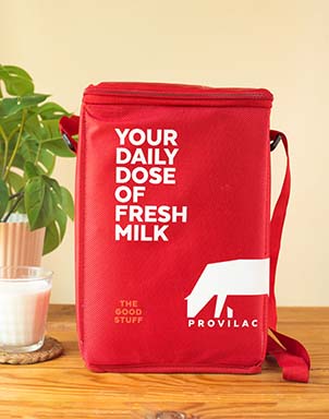 Door Bag